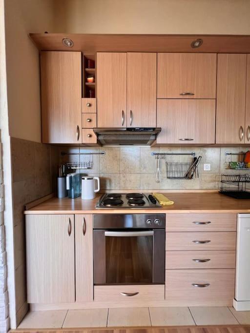 Marron Matou Apartment Budva