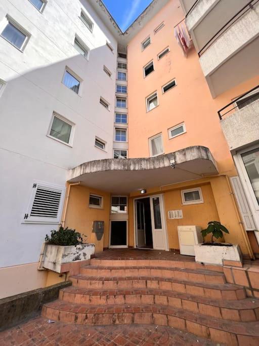 Marron Matou Budva